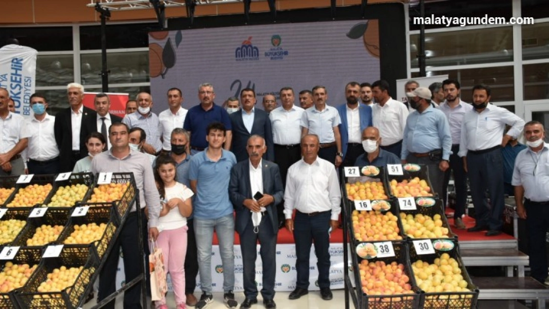'En iyi yaş kayısı' yarışması yapıldı