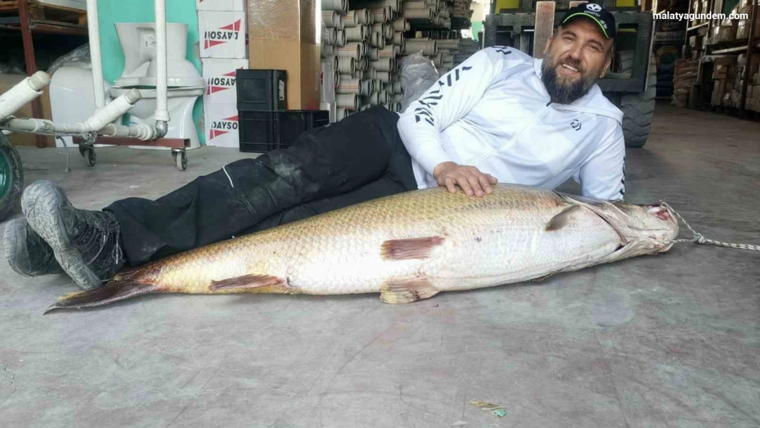 1 buçuk metrelik balık oltaya takıldı