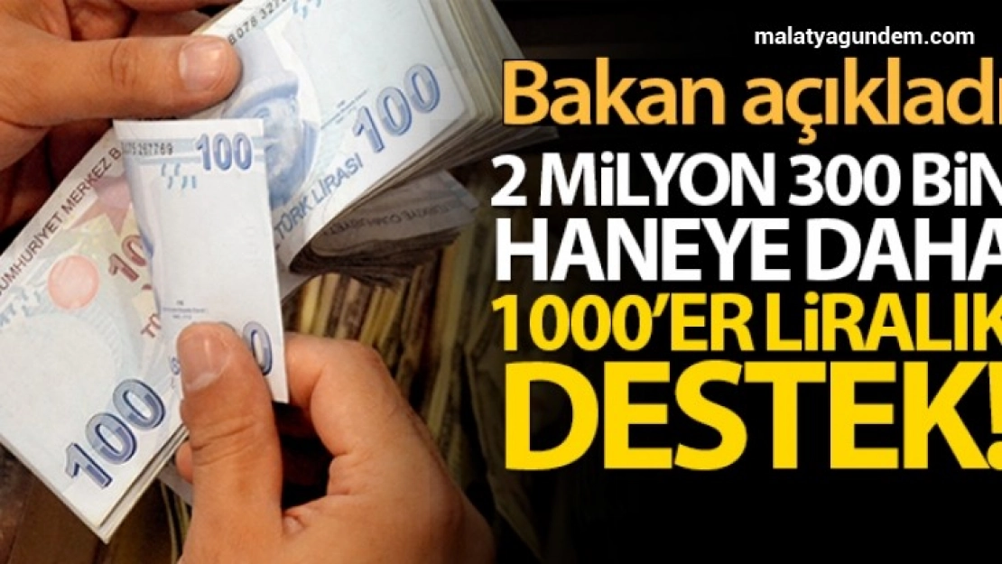 2 milyon 300 bin haneye daha 1000'er liralık destek