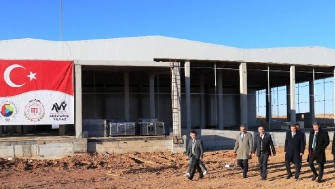 2020 Kayısının Yılı Olacak