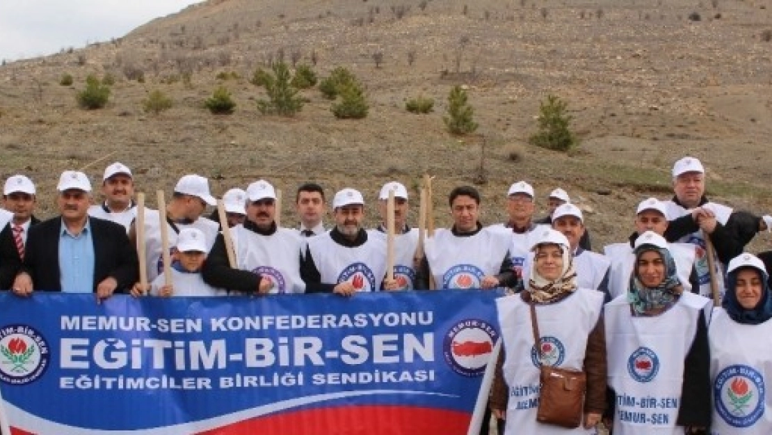 21-26 Mart Orman Haftası
