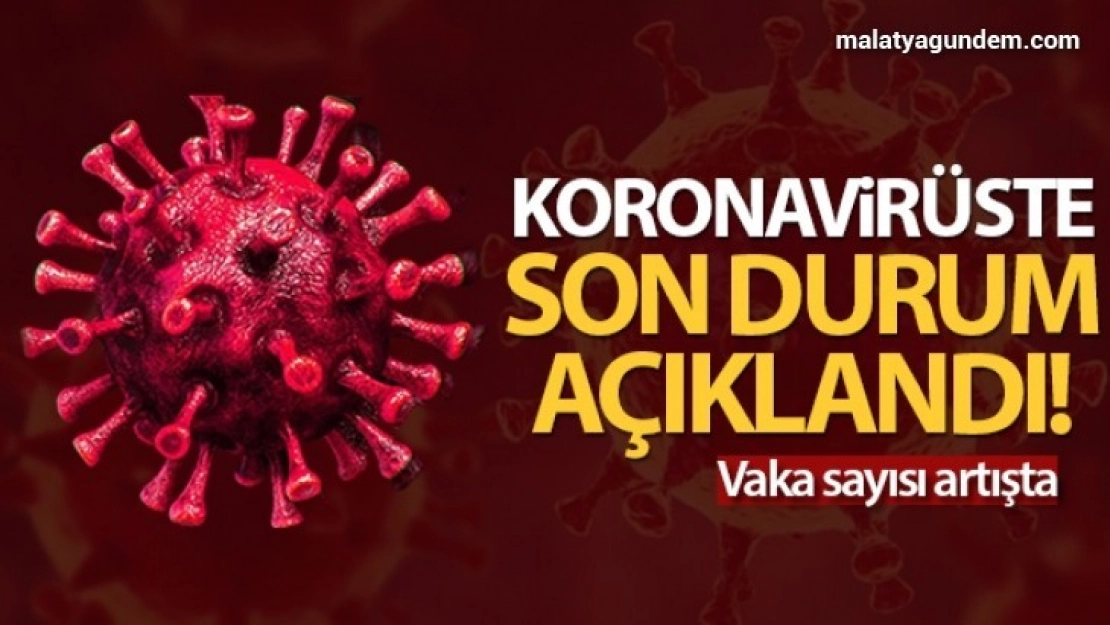 24 saatte 9.572 koronavirüs vakası tespit edildi