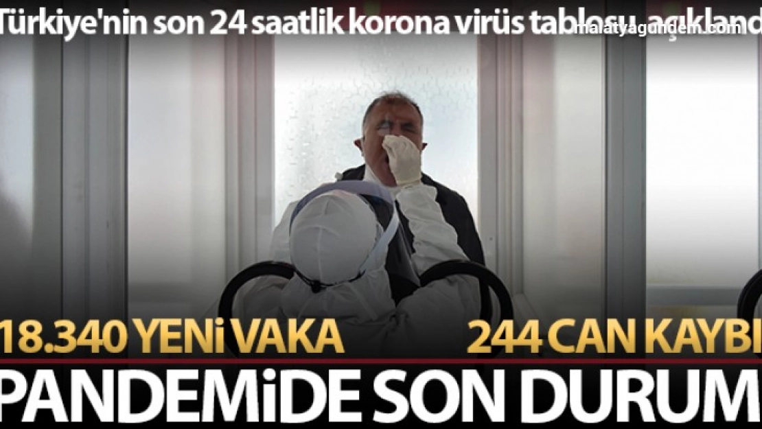 244 kişi hayatını kaybetti