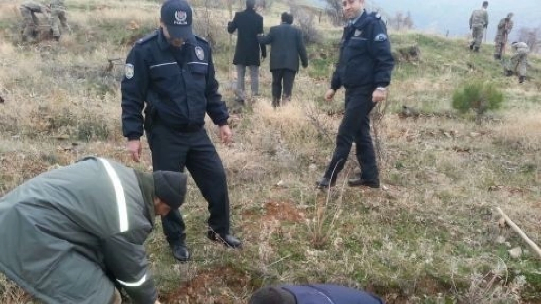 5 Bin 500 Fidan Toprakla Buluşturuldu