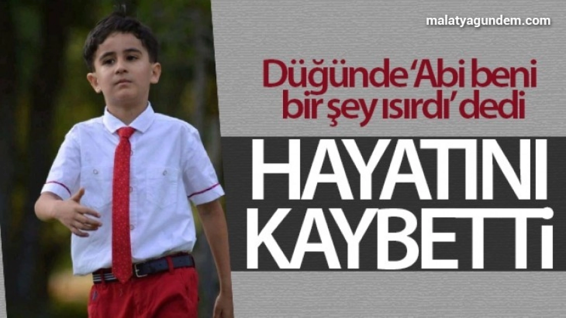 Abi beni bir şey ısırdı' diyen küçük Hamza hayatını kaybetti