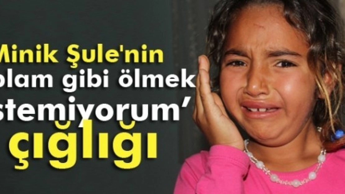 'Ablam Gibi Ölmek İstemiyorum' Çığlığı