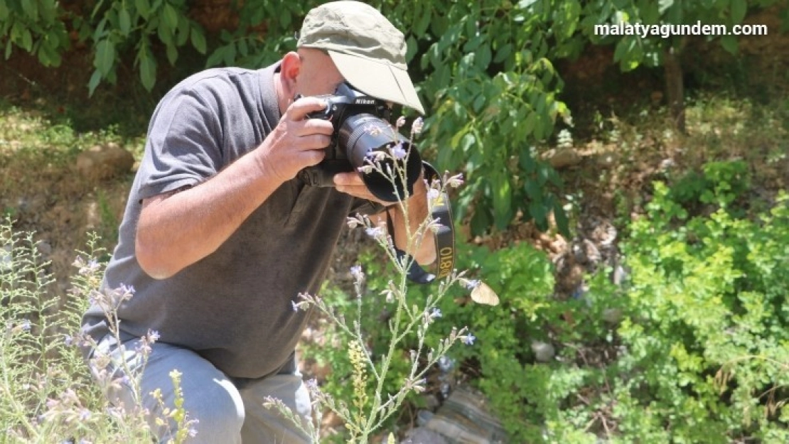 Adım adım gezdiği doğada 150 tür kelebeği fotoğraflamayı başardı