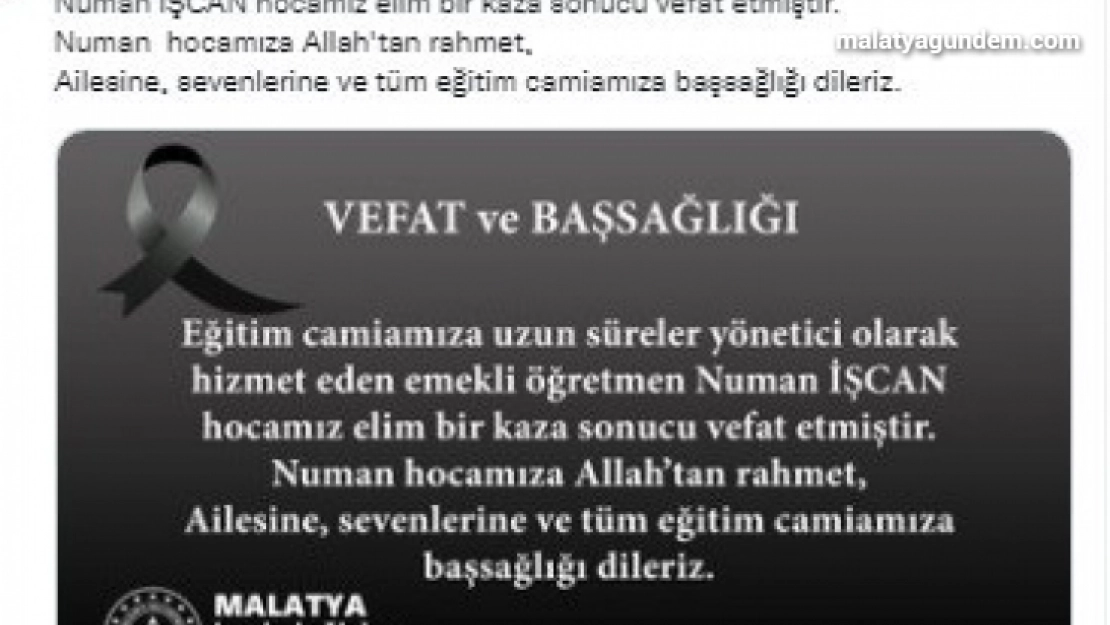 Ağaçtan düşen emekli müdür hayatını kaybetti