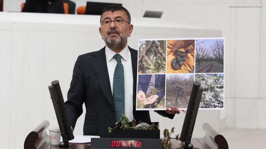 Ağbaba Üreticinin kasıma kadar dayanacak gücü yok