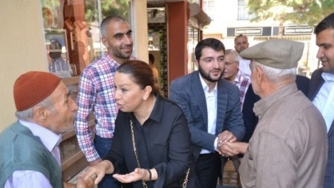 AK Parti'den, Doğanşehir Ve Akçadağ Çıkarması