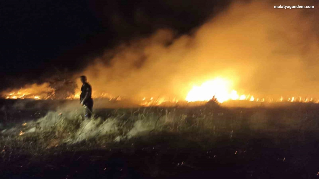 Akçadağ'da bahçe ve sazlık yangını: 25 Kayısı ağacı zarar gördü