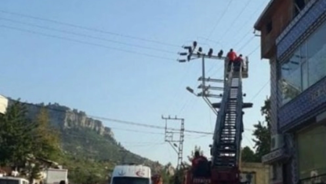 Akçadağ'da Elektrik Akımına Kapılan Genç Öldü