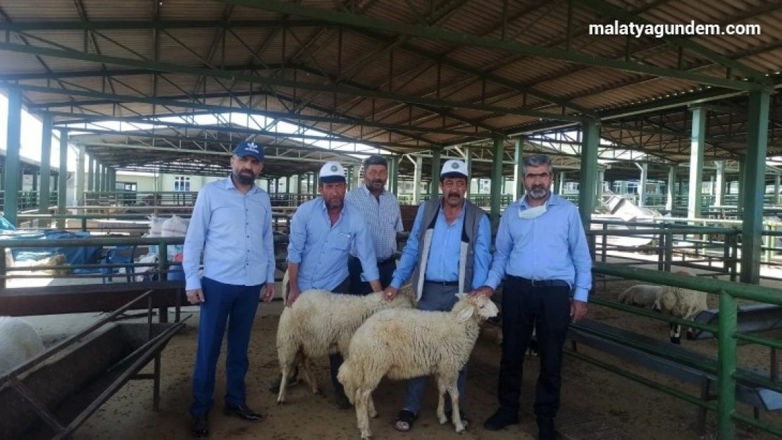 Akın, canlı hayvan pazarını ziyaret etti