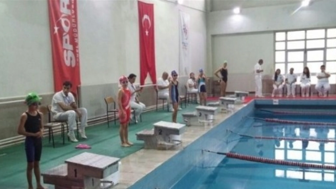 Analig Yüzme Grup Müsabakaları