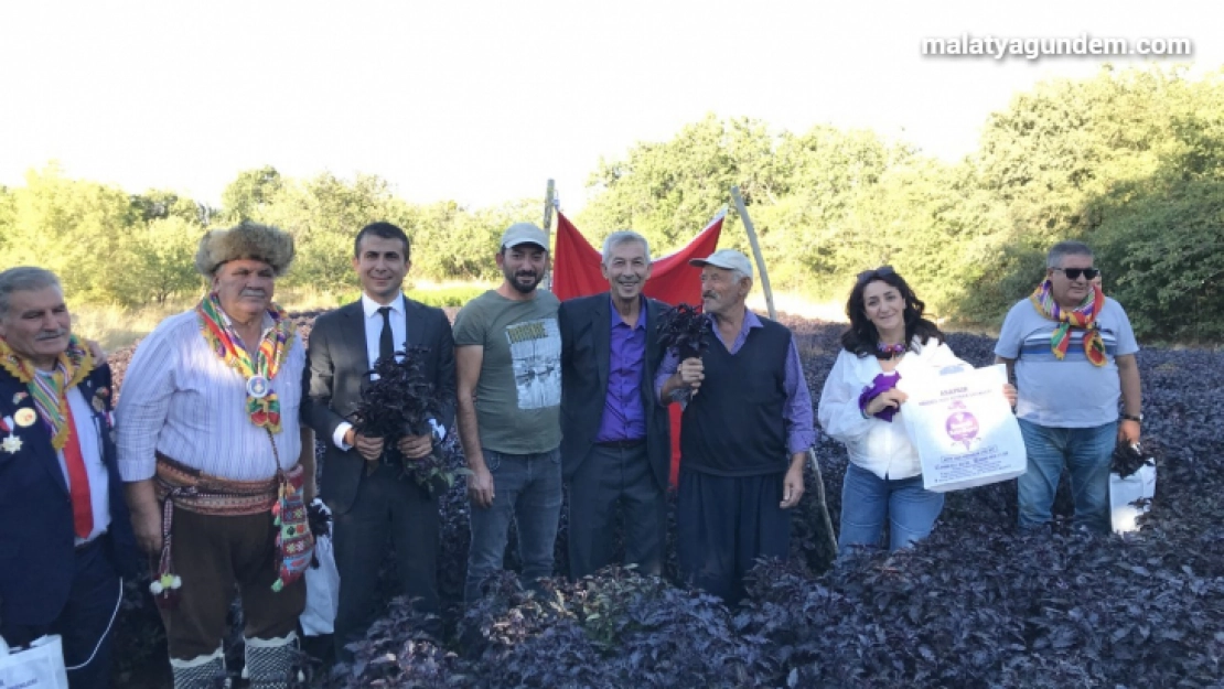 Arapgir'de festival dolu dolu geçti