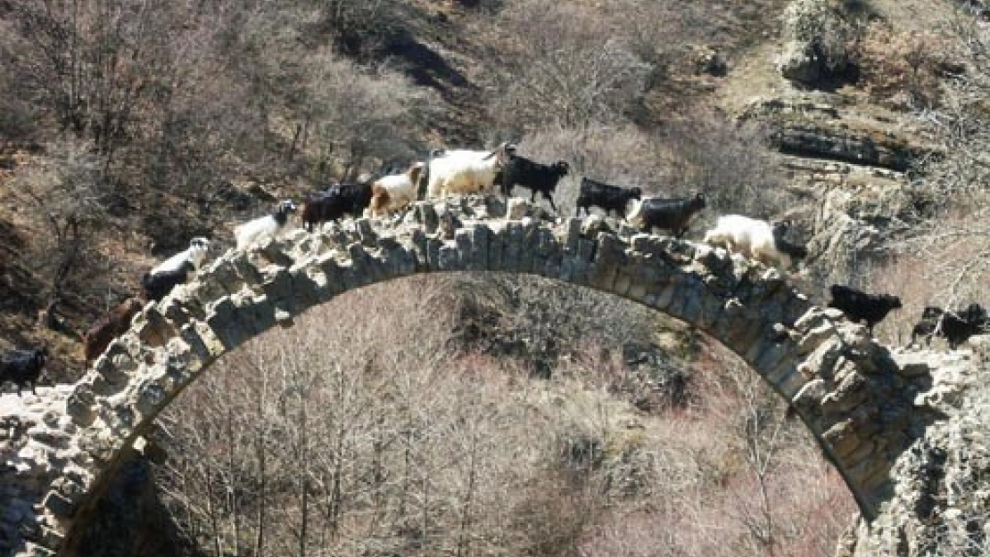 Arapgir'de Tarihi Taş Köprü Tescil Edildi