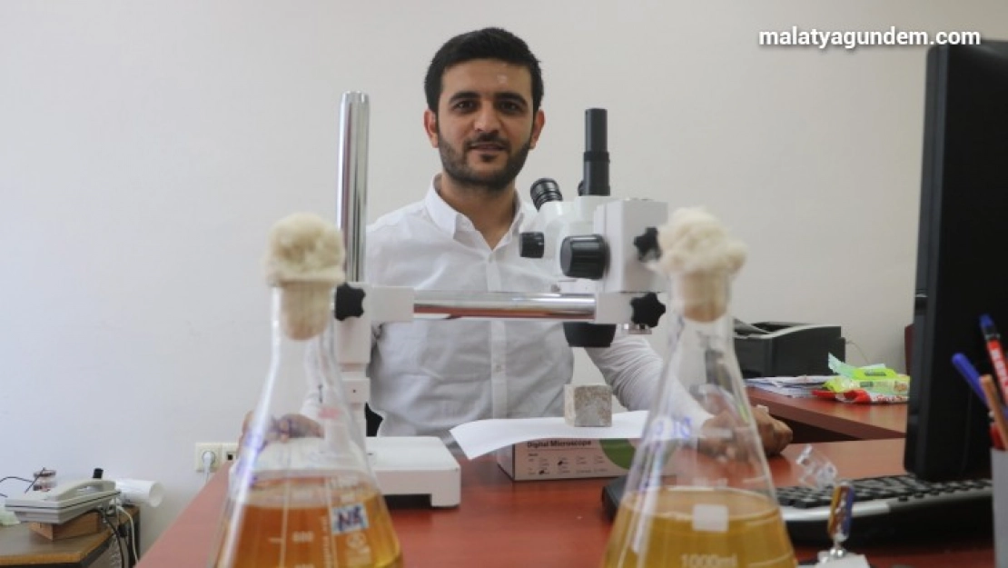 Çimentosuz betonları bakteri yoluyla onaran buluş