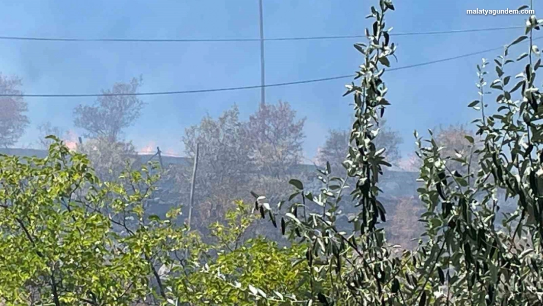 Arguvan'da çıkan yangın meyve ağaçlarına zarar verdi