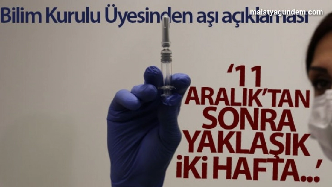 Aşı 4 aşamada ve riskli gruplara göre yapılacaktır