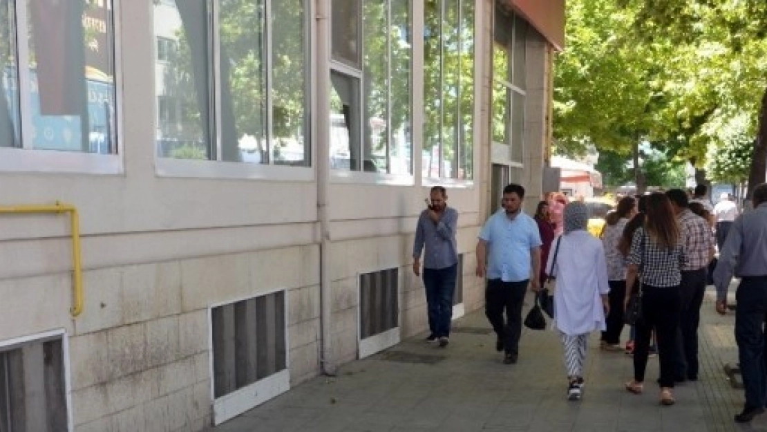 Sokak Hayvanlarına Yardımcı Olalım Uyarısı