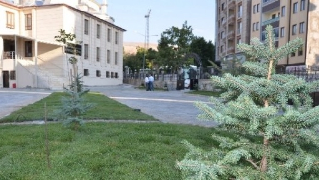 Ayşehan Camisi'nde Çevre Düzenlemesi
