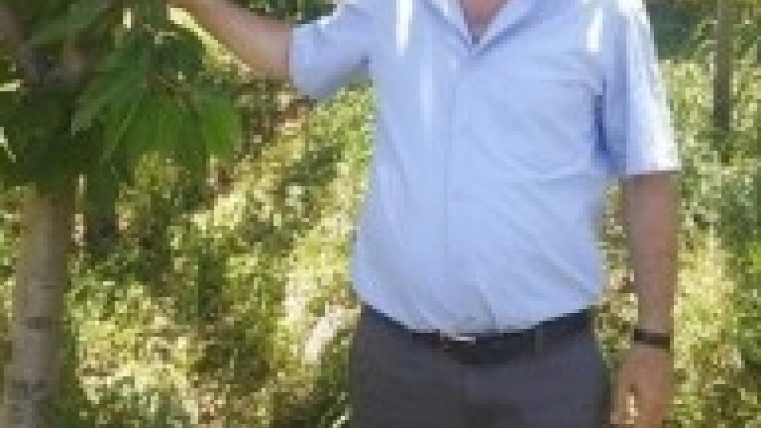 Baba, Oğlu Tarafından Öldürüldü