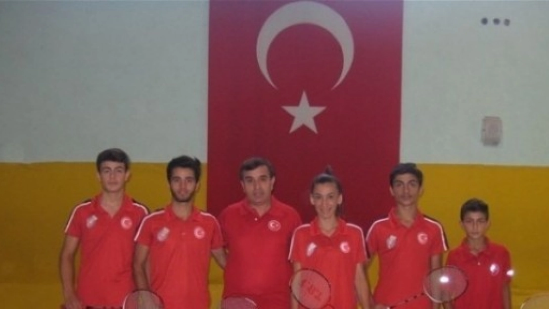 Badmintonda Milli Davet