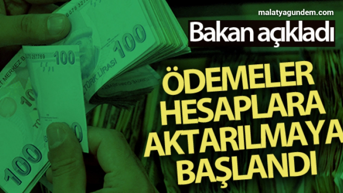 Bakan Pakdemirli: '13 milyon lirayı aşkın destek ödemesi hesaplara aktarılmaya başlandı'