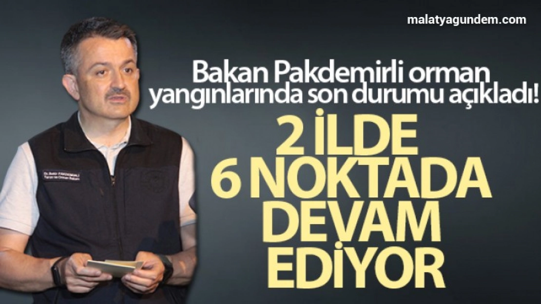 Bakan Pakdemirli orman yangınlarında son durumu açıkladı