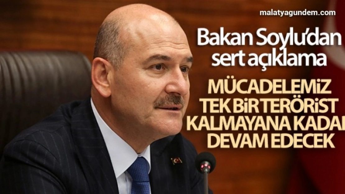 Bakan Soylu:  Başımız sağ olsun'