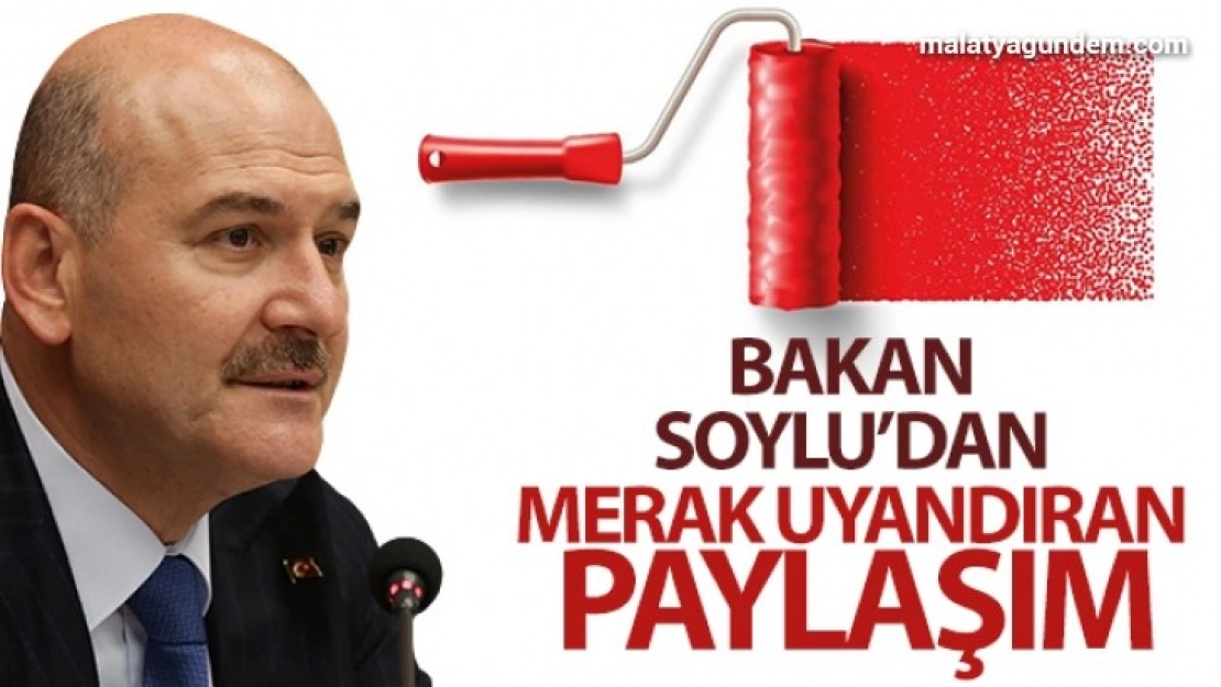 Bakan Soylu'dan merak uyandıran paylaşım
