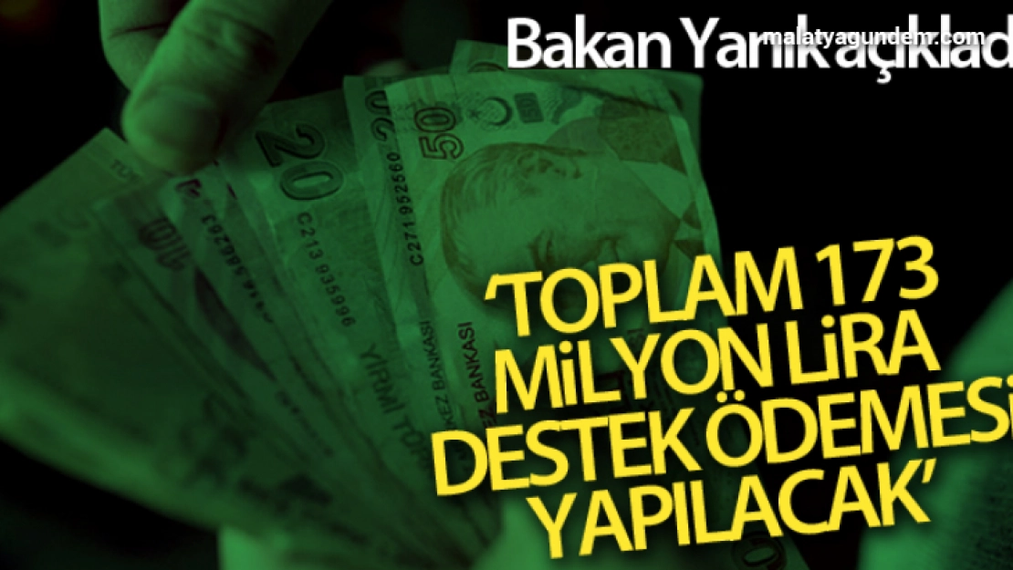 Bakan Yanık açıkladı: İhtiyaç sahibi ailelere SED ödemesi yapılacak