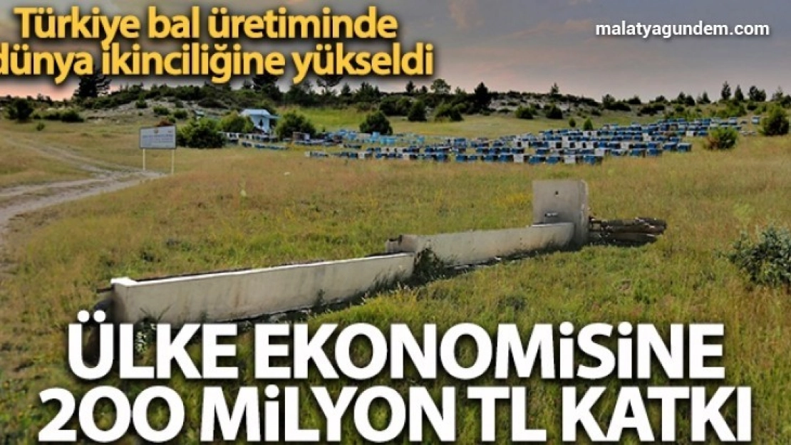 Bal ormanları ülke ekonomisine 200 milyon TL katkı sağladı