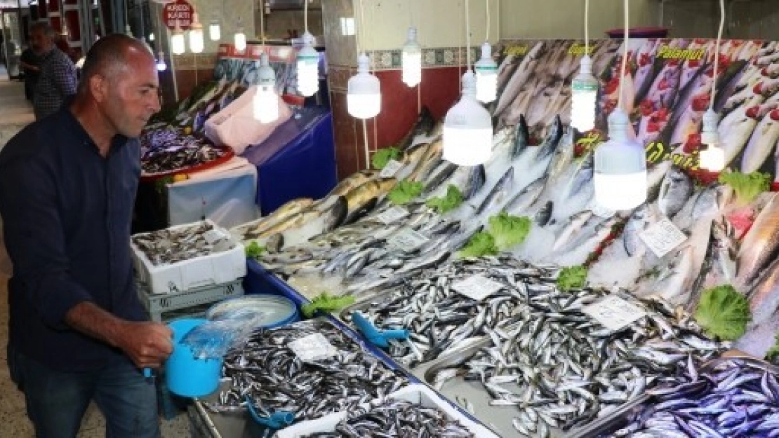 Balık Fiyatları, Beyaz Eti Solladı