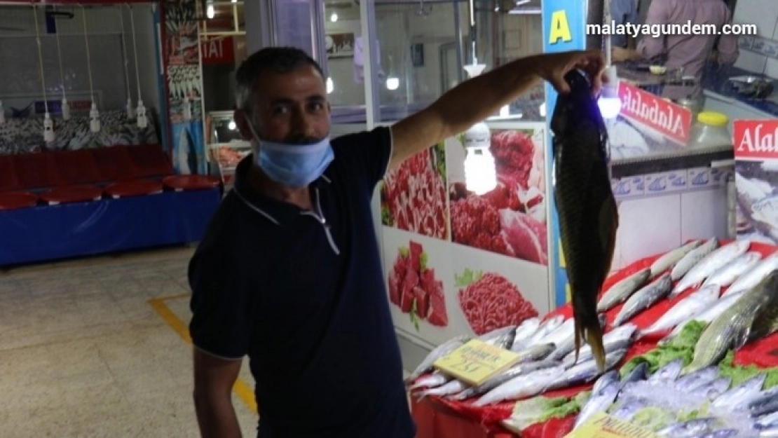 Balıkçılara sıcak hava darbesi