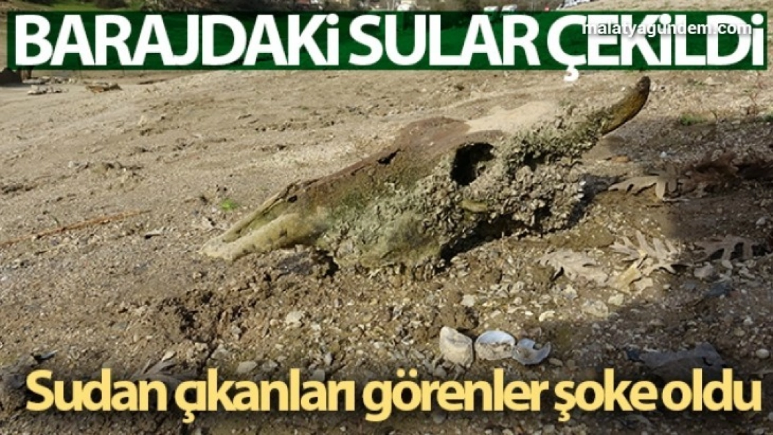 Barajdaki sular çekildi, sudan çıkanları görenler şaşkına döndü