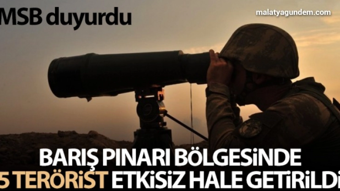 Barış Pınarı bölgesinde 5 terörist etkisiz hale getirildi