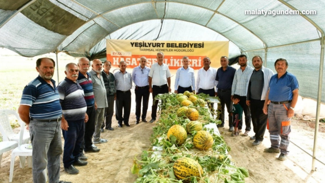 Başkan Çınar,  kavun hasadına katıldı