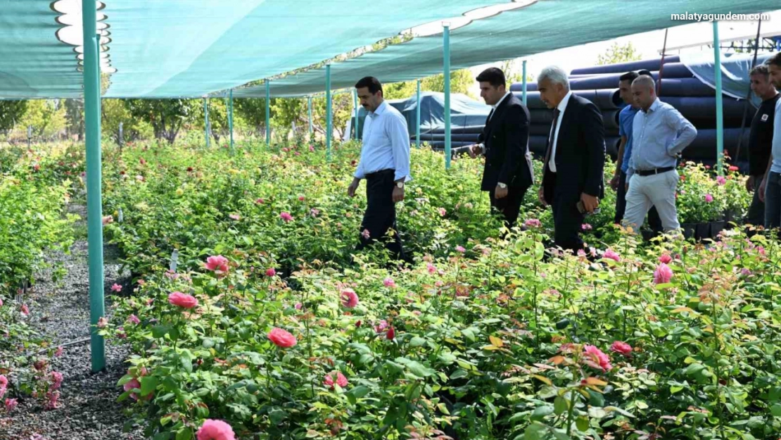 Başkan Taşkın: 'Yeşil bir Battalgazi için üretiyoruz'