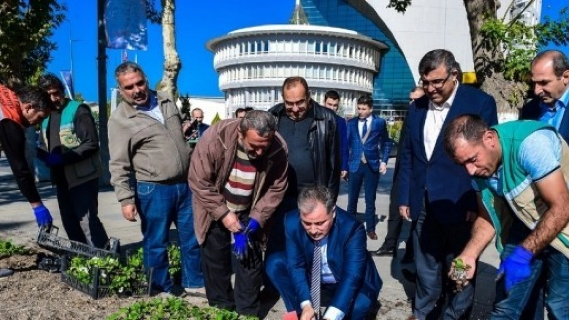 Başkan Çakır, İşçilerle Birlikte Çiçek Dikti