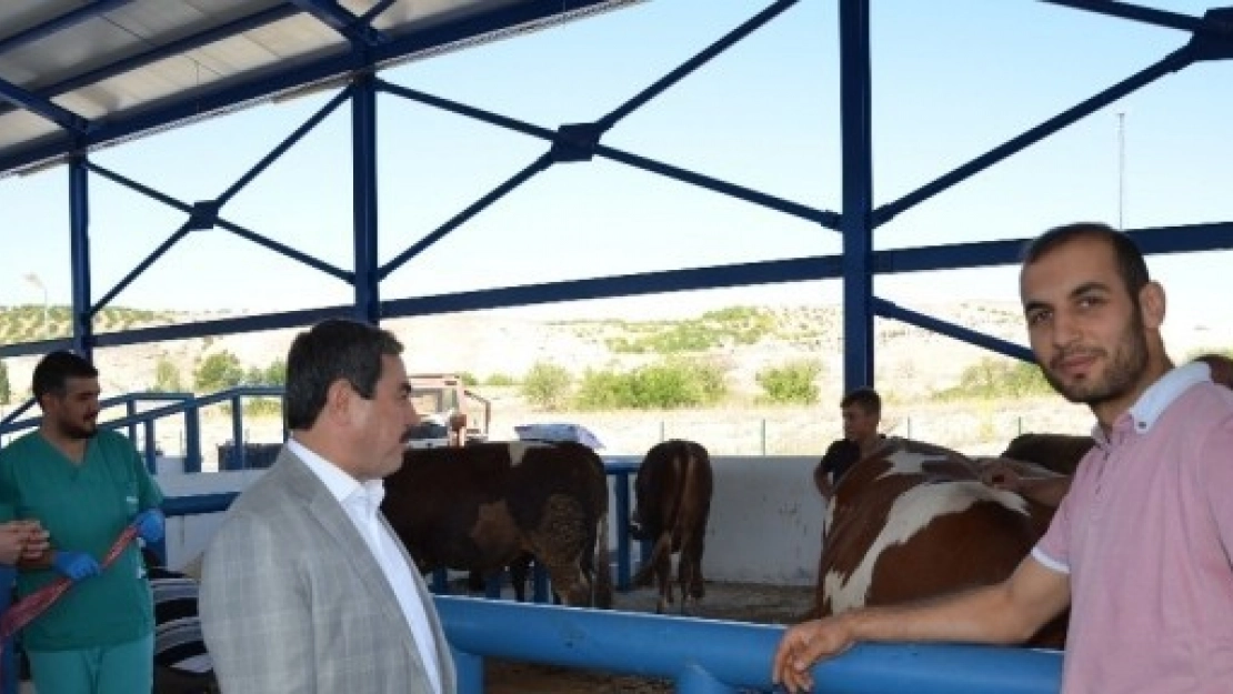 Başkan Eser Kurban Pazarında İncelemelerde Bulundu