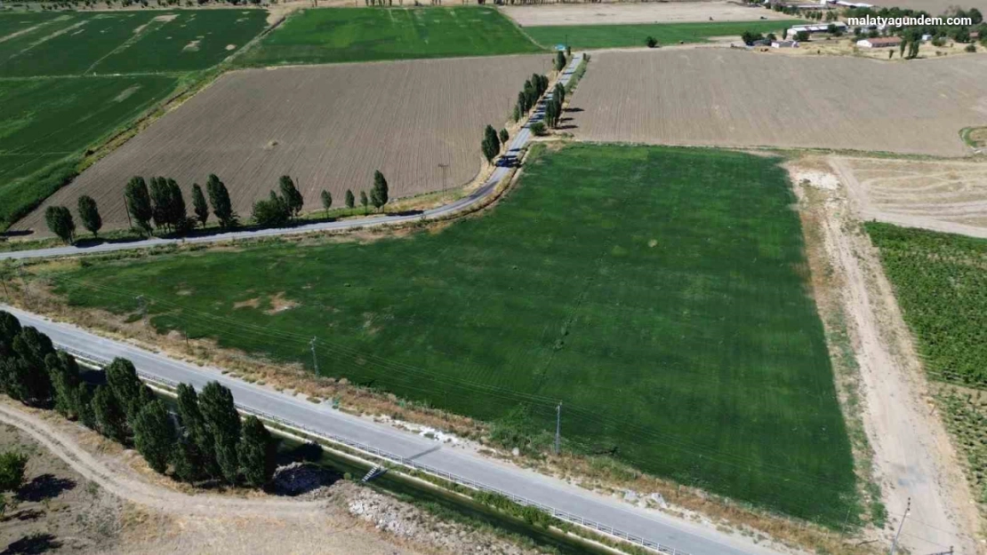 Battalgazi'de yerli üretimle yeşil alan seferberliği