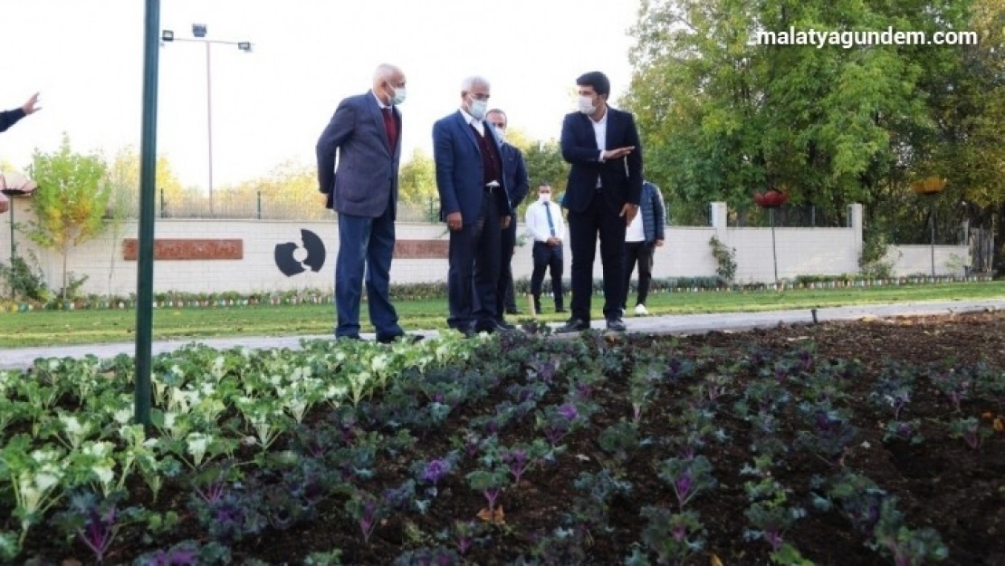 Battalgazi'ye 25 bin kök süs bitkisi dikiliyor