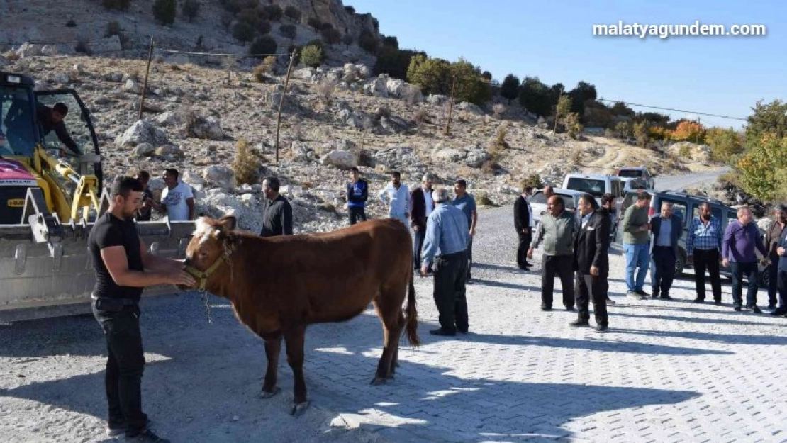 Belediye Başkanı Kazgan'a hizmet teşekkürü