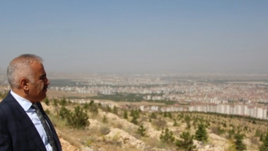 Beydağı Ağaçlandırma Sahasında Başarı Yüzde 90