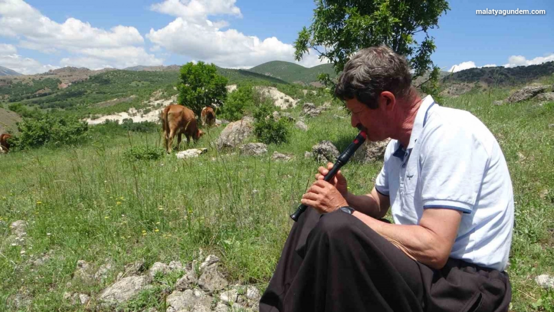 Bin 400 metre rakımdaki sürülerini 'flüt' eşliğinde otlatıyor