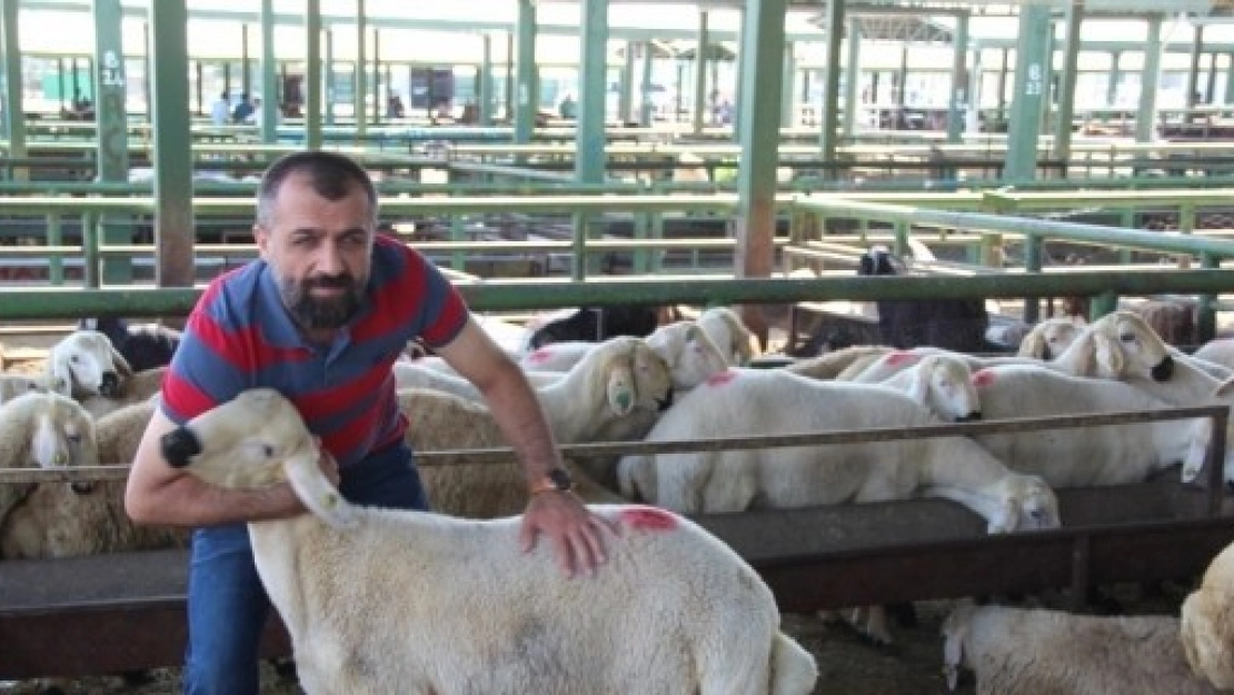 Birlik Başkanı Akın Canlı Hayvan Pazarını Ziyaret Etti