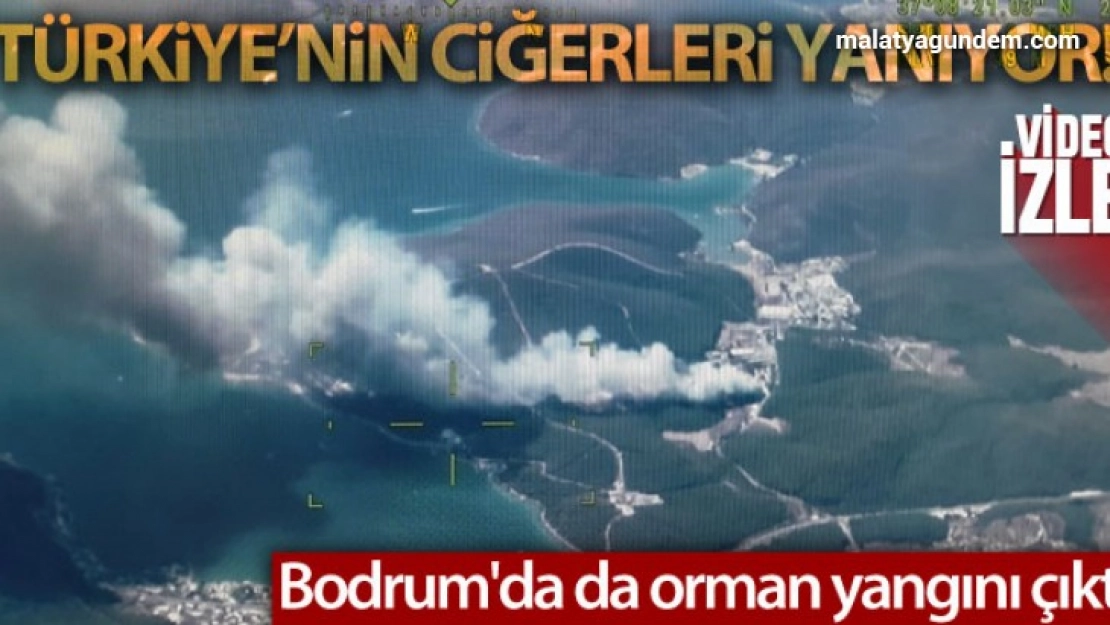 Bodrum'da orman yangını çıktı