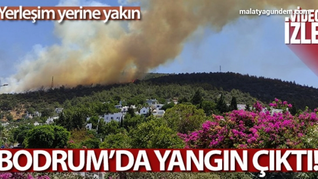 Bodrum'da yangın