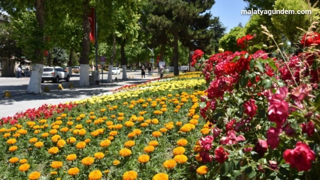 Büyükşehir Belediyesi'nden 150 bin çiçek
